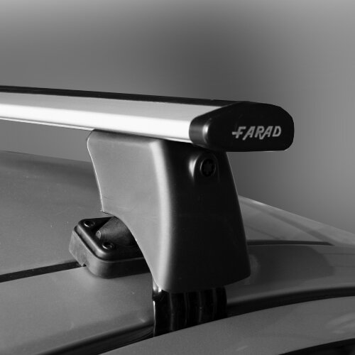 Dakdragers Ford Ecosport SUV vanaf 2014 - Wingbar - inclusief dakdrager opbergtas