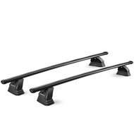 Green Valley dakdragers Renault Scenic 2003 t/m 2009